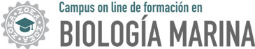 ZOEACAMPUS.COM
